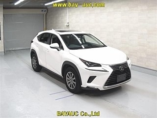 LEXUS NX NX300 I Package