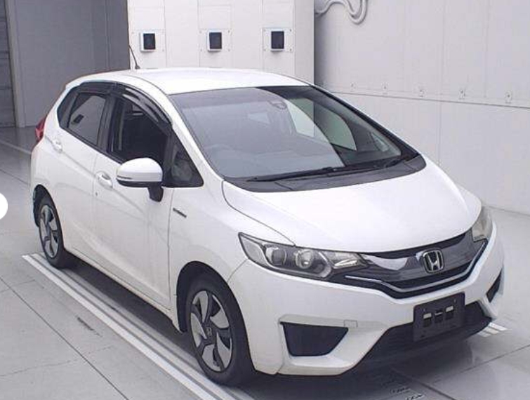 Fit Hybrid L Package