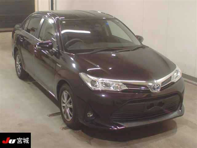 TOYOTA COROLLA AXIO Hybrid
